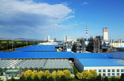 新疆心连心公司绿色制造系统集成项目通过国家工信部验收