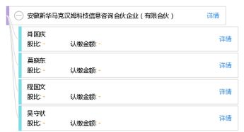 安徽新华马克汉姆科技信息咨询合伙企业 聚焦信息技术咨询的专业服务